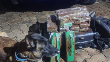 Mulher é encontrada morta e enterrada em quintal de casa em Itararé