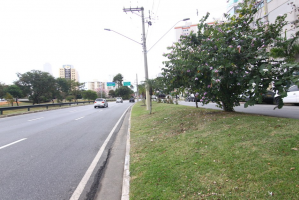 Corrida de rua interdita vias de São José dos Campos neste domingo (8); saiba quais são