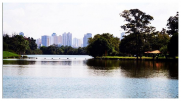 Mulher é encontrada morta seminua perto do Parque Ecológico do Tietê em São Paulo