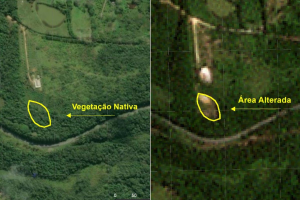 PM usa imagens de satélite para flagrar desmatamento ilegal e multa fazendeiro em R$ 31 mil em SP