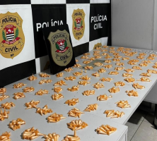 Polícia Civil apreende mais de 1 mil porções de cocaína em Itu; suspeito foi preso