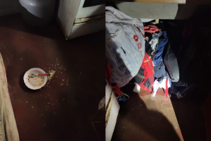 Mãe é presa após polícia encontrar três crianças em situação de maus-tratos no interior de SP