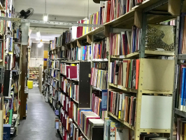 Livros do século XIX, discos autografados e museu de brinquedos: sebo em Jundiaí tem um dos maiores acervos de colecionismo no Brasil