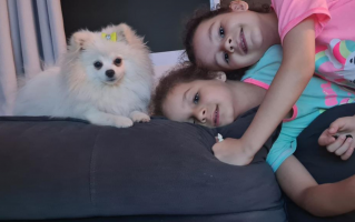 Meninas usam redes sociais para pedir ajuda e achar cachorrinha que fugiu de casa em Barretos, SP