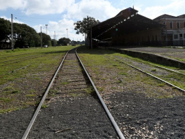 Vacinação contra a gripe: confira quais são os 11 centros de saúde de Campinas abertos neste sábado