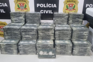 Justiça absolve seis acusados de tráfico após apreensão de 196 kg de cocaína no Porto de Santos