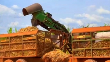 Guerra no Oriente Médio eleva custos dos insumos agrícolas e preocupa produtores do interior de SP