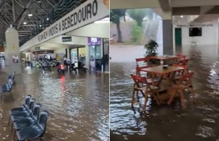 Cidades da região de Ribeirão Preto têm serviços afetados e aulas suspensas após estragos com chuvas 
